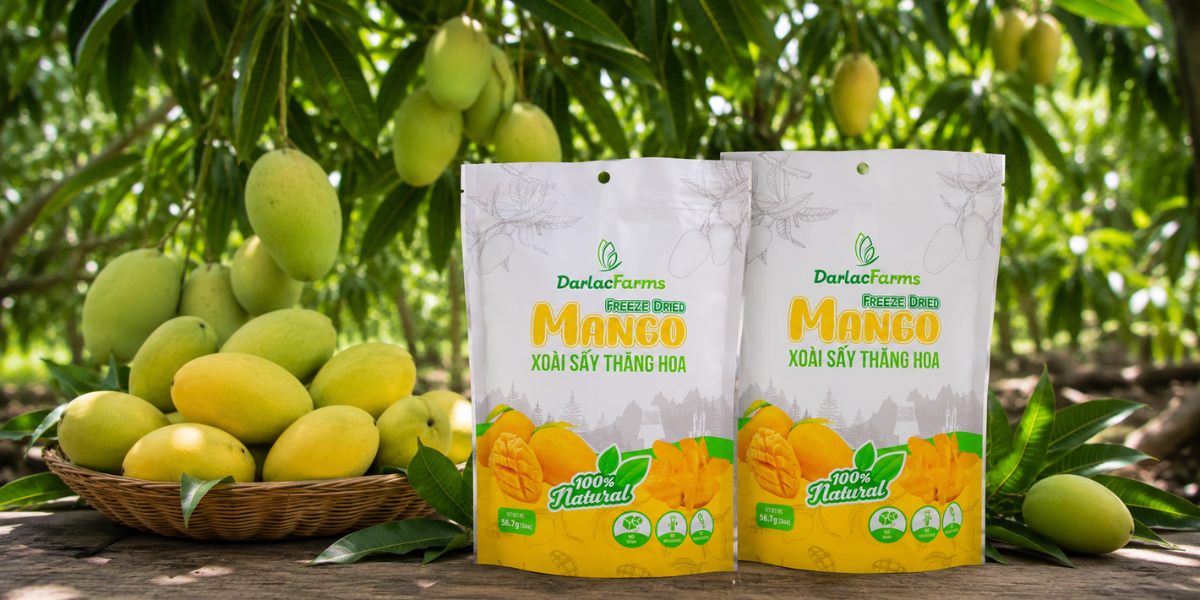xoài sấy thăng hoa